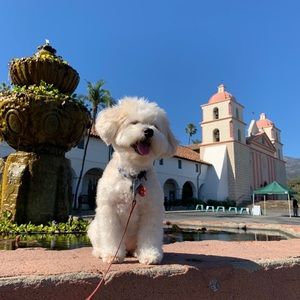 Meet your Posher, Jocelyn